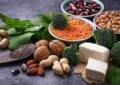 What Is Plant-Based Protein And How To Incorporate More Plant-Based Proteins Into Your Diet? 5 What Is Plant-Based Protein And How To Incorporate More Plant-Based Proteins Into Your Diet?