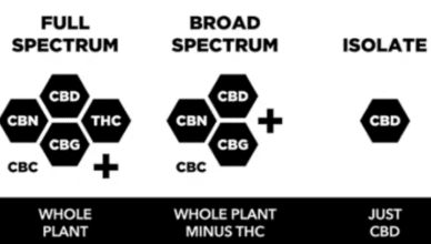 What Is The Difference Between Cbd Isolate And Full-Spectrum Cbd?
