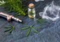 What Is The Difference Between Cbd Vape Oil And Cbd E-Liquid? 2 What Is The Difference Between Cbd Vape Oil And Cbd E-Liquid?