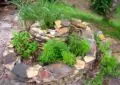 Why Creating A Herb Spiral Maximizes Space And How To Build Your Own Herb Spiral 5 Why Creating A Herb Spiral Maximizes Space And How To Build Your Own Herb Spiral