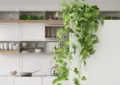 Why Providing Proper Support For Vining Plants Is Necessary And How To Trellis Your Plants