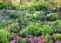 Why Watering Techniques Matter For Plant Health And How To Water Your Garden Correctly 2 Why Watering Techniques Matter For Plant Health And How To Water Your Garden Correctly