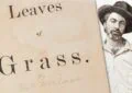 Leaves Of Grass By Walt Whitman - Summary And Review 1 Leaves Of Grass By Walt Whitman – Summary And Review