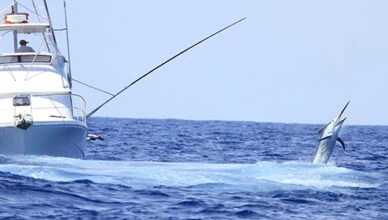 Deep Sea Fishing