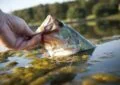 What Is Freshwater Fishing And What Species Can You Catch? 7 What Is Freshwater Fishing And What Species Can You Catch?