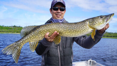 Pike Fishing