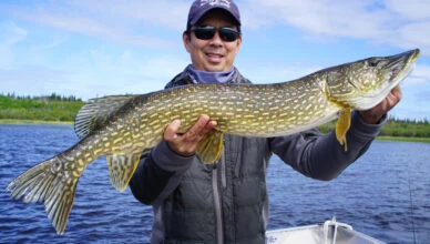 Pike Fishing