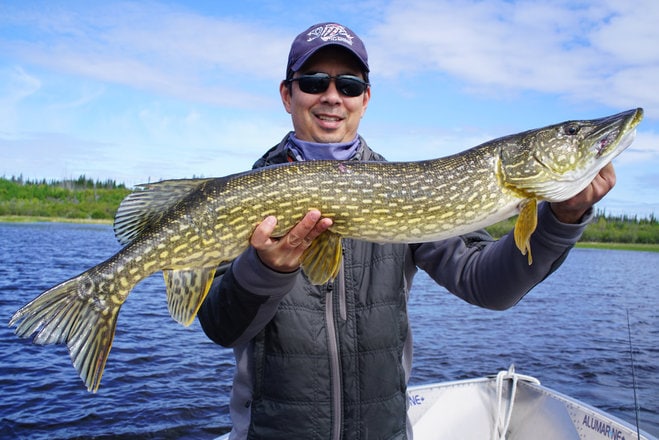 Pike Fishing