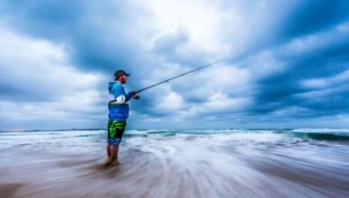 Surf Fishing