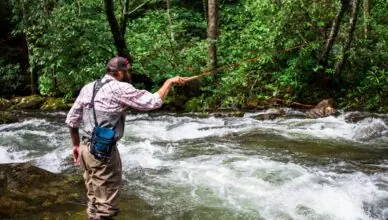 Tenkara Fishing