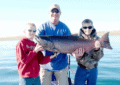 Why Fishing Is A Great Bonding Activity For Families?