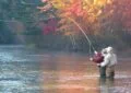 Why Fishing Is A Great Way To Connect With Nature And Wildlife?