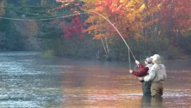 Fishing Is A Great Way To Connect With Nature And Wildlife