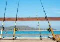 Why Fishing Is A Popular Outdoor Activity? 4 Why Fishing Is A Popular Outdoor Activity?