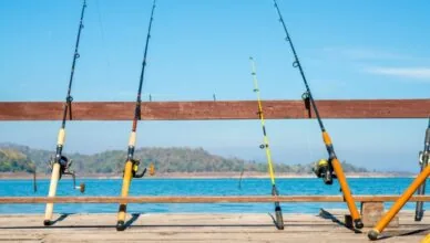 Why Fishing Is A Popular Outdoor Activity