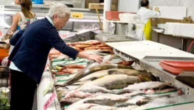 Fishing Is A Sustainable Source Of Food