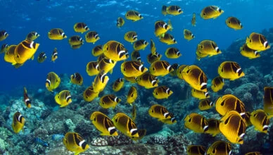 Fishing Is An Opportunity To Appreciate Water Conservation