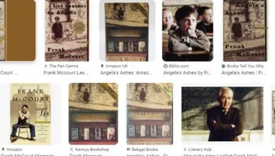 Angela's Ashes by Frank McCourt - Summary and Review2