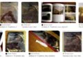 Art in America by William H. Truettner and Alan Wallach - Summary and Review 4 Art in America by William H. Truettner and Alan Wallach – Summary and Review