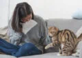 Can Cats Develop Allergies, and How to Manage Them 6 Can Cats Develop Allergies, and How to Manage Them