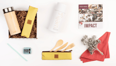 Choosing Sustainable Business Gifts for Green Initiatives