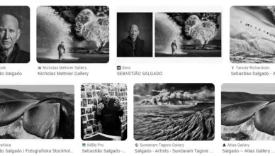 Contact by Sebastião Salgado - Summary and Review
