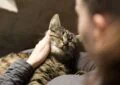 How to Adopt a Senior Pet and Provide Loving Care 5 How to Adopt a Senior Pet and Provide Loving Care