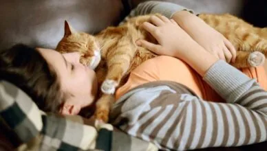 How to Bond With Your Newly Adopted Pet