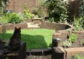 How to Create a Cat-Friendly Garden Space