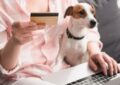 How to Create a Pet Adoption Budget and Stick to It