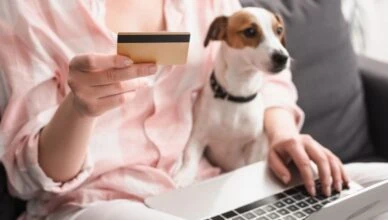 How to Create a Pet Adoption Budget and Stick to It