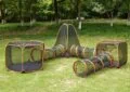How to Create a Safe and Fun Play Area for Guinea Pigs