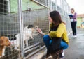 How to Find Reputable Animal Rescues and Shelters