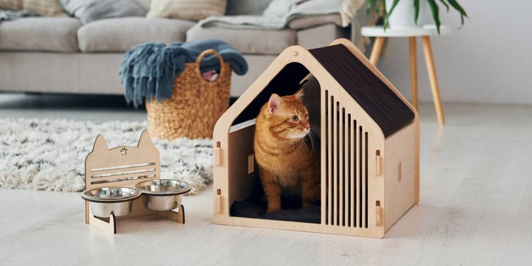 Cat Adjust Home