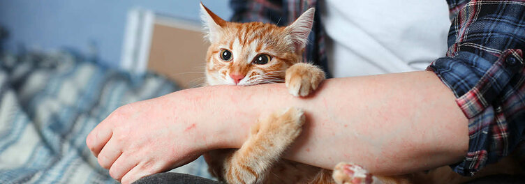 How to Prevent Common Cat Behavior Problems