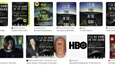 I'll Be Gone in the Dark by Michelle McNamara - Summary and Review