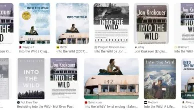 Into the Wild by Jon Krakauer - Summary and Review