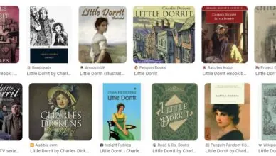 Little Dorrit by Charles Dickens - Summary and Review