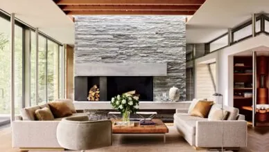 Modernist Style Interior