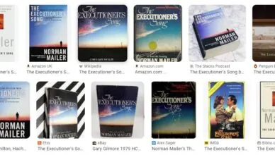 The Executioner's Song by Norman Mailer - Summary and Review