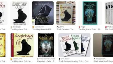The Magician's Guild by Trudi Canavan - Summary and Review