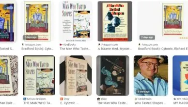 The Man Who Tasted Shapes by Richard Cytowic - Summary and Review