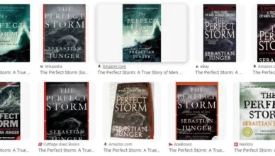 The Perfect Storm: A True Story of Men Against the Sea by Sebastian Junger - Summary and Review