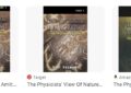 The Physicists’ View of Nature by Amit Goswami – Summary and Review