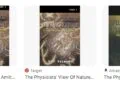 The Physicists’ View of Nature by Amit Goswami – Summary and Review