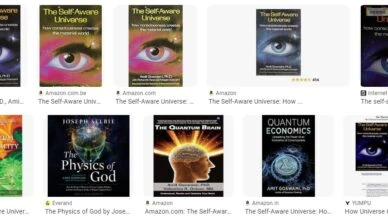The Self-Aware Universe: How Consciousness Emerges From the Physical World by Amit Goswami - Summary and Review