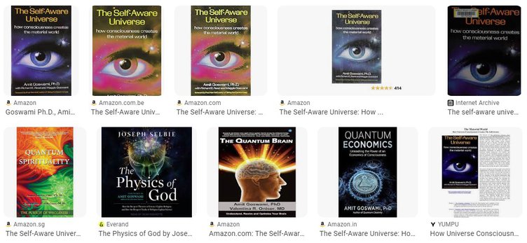 The Self-Aware Universe: How Consciousness Emerges From the Physical World by Amit Goswami - Summary and Review
