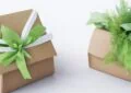 The Significance of Eco-Friendly Business Gifts 3 The Significance of Eco-Friendly Business Gifts