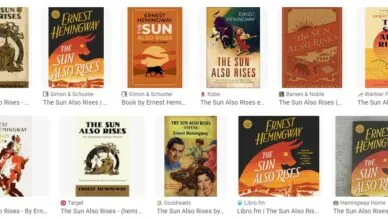 The Sun Also Rises by Ernest Hemingway - Summary and Review