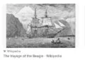 The Voyage of the Beagle by Charles Darwin - Summary and Review 4 The Voyage of the Beagle by Charles Darwin – Summary and Review